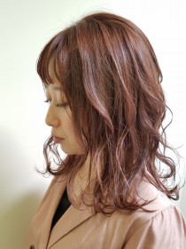 セミデイボブ